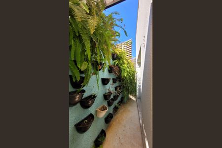 Casa à venda com 250m², 2 quartos e 1 vagaÁrea comum