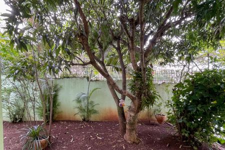 Casa à venda com 327m², 3 quartos e 6 vagas Casa à venda com 327m², 3 quartos e 6 vagasVista - Sala