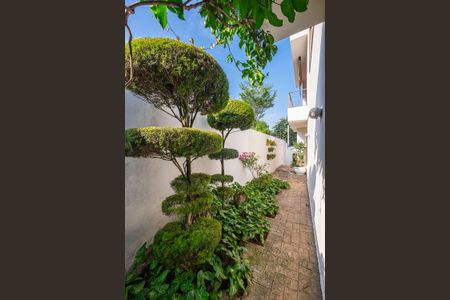 Casa à venda com 380m², 5 quartos e 4 vagasQuintal