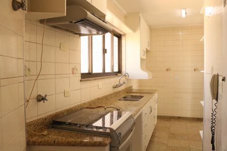 Apartamento para alugar com 428m², 3 quartos e 3 vagasCozinha