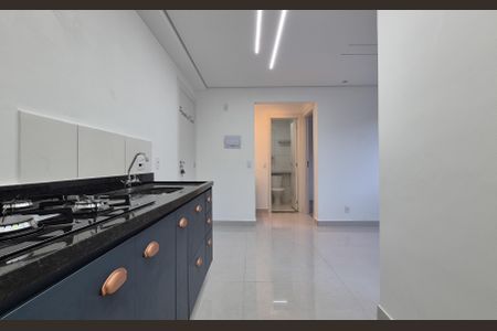 Apartamento para alugar com 35m², 2 quartos e sem vagaCozinha