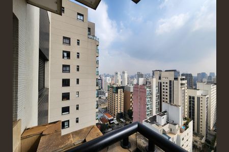 Apartamento à venda com 222m², 3 quartos e 3 vagasVista da Varanda da Sala 2