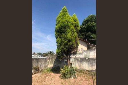 Casa à venda com 3 quartos, 115m² em Instituto de Previdencia, São Paulo