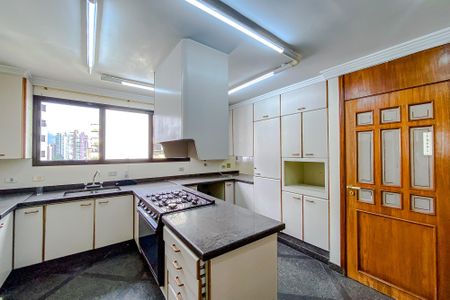 Apartamento à venda com 346m², 4 quartos e 4 vagasCozinha