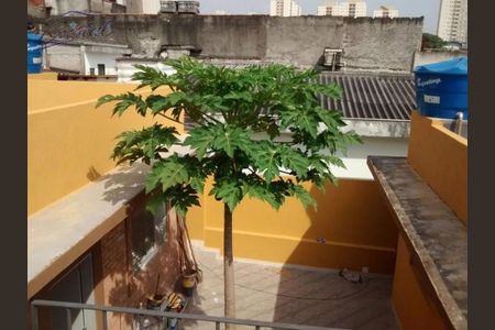 Casa à venda com 200m², 8 quartos e sem vaga