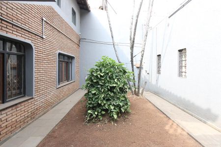Casa à venda com 250m², 3 quartos e 4 vagasJardim