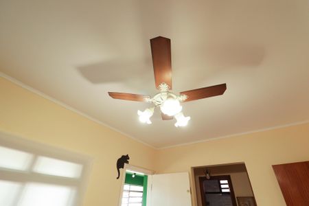 Casa à venda com 703m², 5 quartos e 3 vagasEdicula