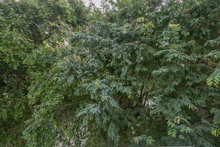 Apartamento para alugar com 70m², 2 quartos e 1 vaga Apartamento para alugar com 70m², 2 quartos e 1 vagaQuarto 1 Vista