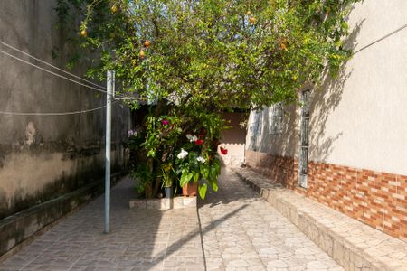 Casa à venda com 250m², 6 quartos e sem vagaQuintal 