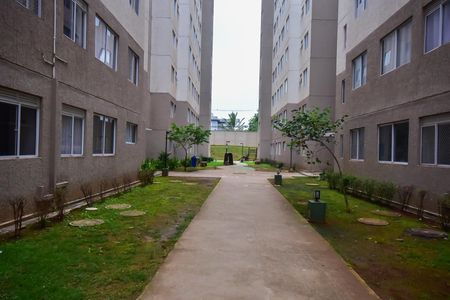 Apartamento para alugar com 40m², 2 quartos e sem vaga Apartamento para alugar com 40m², 2 quartos e sem vagaJardim