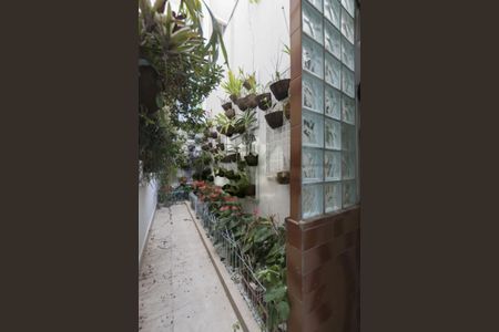 Casa à venda com 3 quartos, 260m² em Cambuci, São Paulo