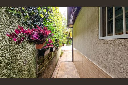 Casa à venda com 300m², 3 quartos e 3 vagasQuintal