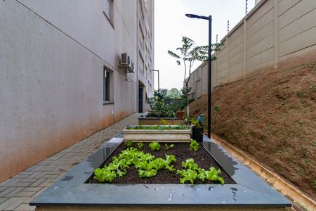 Apartamento para alugar com 44m², 2 quartos e 1 vaga Apartamento para alugar com 44m², 2 quartos e 1 vagaHorta