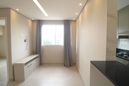 Sala de apartamento para alugar com 2 quartos, 42m² em Usina Piratininga, São Paulo