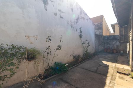 Casa à venda com 243m², 2 quartos e 4 vagas Casa à venda com 243m², 2 quartos e 4 vagasQuintal