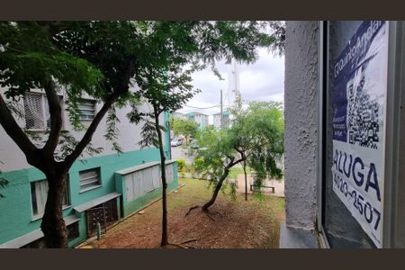 Apartamento para alugar com 47m², 2 quartos e 1 vaga Apartamento para alugar com 47m², 2 quartos e 1 vagaPlaca