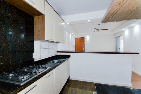 Apartamento para alugar com 47m², 2 quartos e 1 vaga Apartamento para alugar com 47m², 2 quartos e 1 vagaCozinha