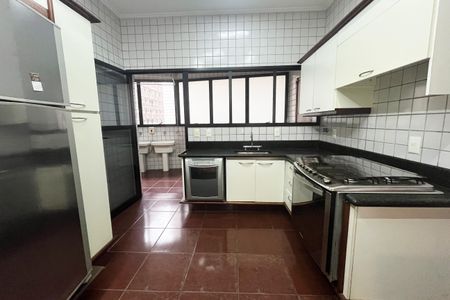 Apartamento para alugar com 252m², 4 quartos e 2 vagasCozinha
