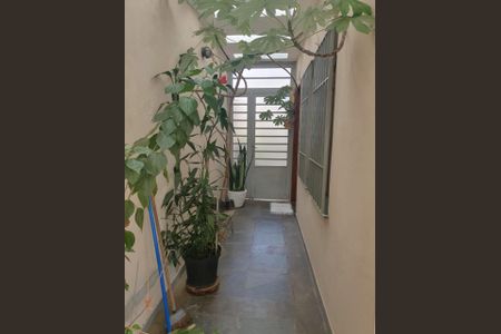 Casa à venda com 220m², 4 quartos e 3 vagasFoto 30