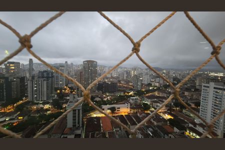 Apartamento para alugar com 201m², 4 quartos e 5 vagasVista da Varanda