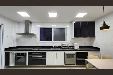 Apartamento para alugar com 201m², 4 quartos e 5 vagasCozinha - Armários