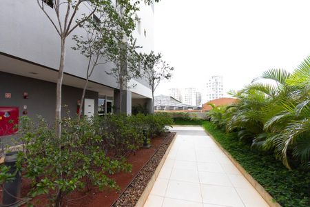 Apartamento para alugar com 57m², 1 quarto e 1 vaga Apartamento para alugar com 57m², 1 quarto e 1 vagaÁrea comum