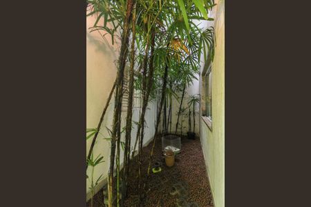 Casa à venda com 260m², 4 quartos e 3 vagas Casa à venda com 260m², 4 quartos e 3 vagasJardim de Inverno