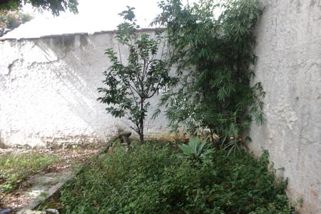 Casa para alugar com 320m², 2 quartos e 3 vagasÁrea comum