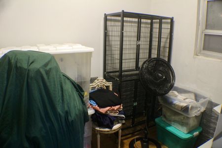 Apartamento à venda com 293m², 4 quartos e 2 vagasÁrea de Serviço - Quarto