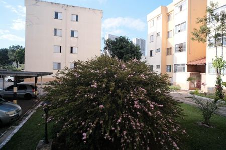Apartamento para alugar com 56m², 2 quartos e 1 vagaVista - Quarto 1