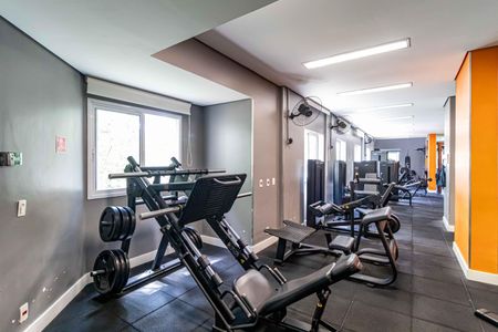 Apartamento à venda com 380m², 5 quartos e 3 vagas Apartamento à venda com 380m², 5 quartos e 3 vagasÁrea comum - Academia
