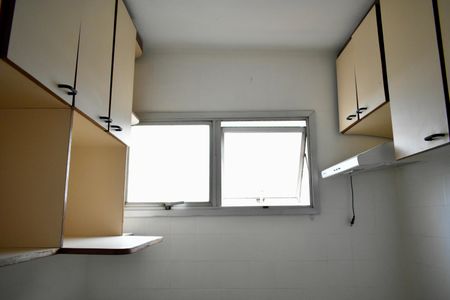 Apartamento para alugar com 52m², 2 quartos e 1 vagaCozinha