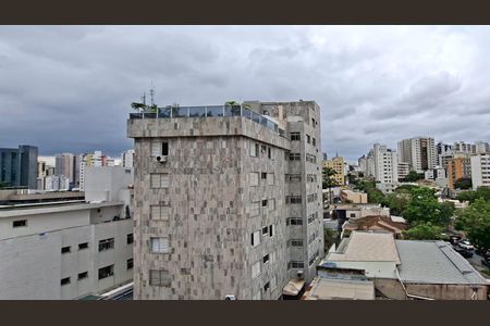Vista da Varanda da Sala de apartamento à venda com 2 quartos, 111m² em Carmo, Belo Horizonte