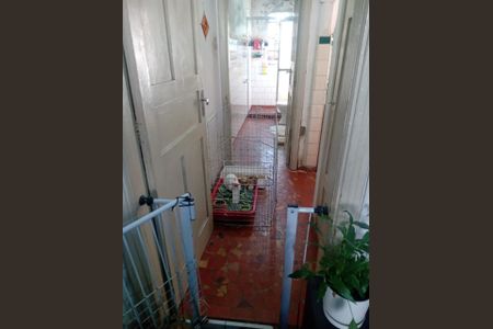 Casa à venda com 72m², 2 quartos e sem vaga Casa à venda com 72m², 2 quartos e sem vagaFoto 06