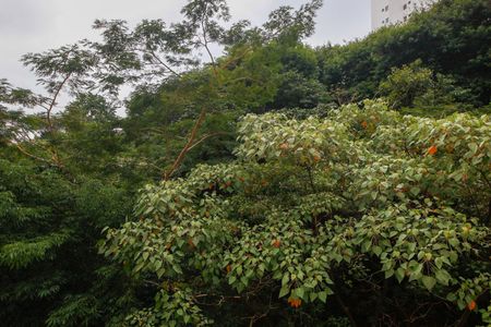 Apartamento à venda com 73m², 2 quartos e 1 vagaSuíte