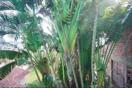 Apartamento à venda com 35m², 2 quartos e 1 vagaVista do Quarto 1