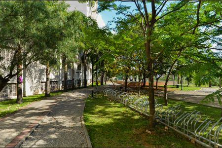 Apartamento à venda com 114m², 3 quartos e 2 vagasBosque Privativo