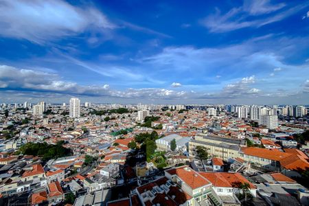 Apartamento à venda com 114m², 3 quartos e 2 vagasVista da Suíte