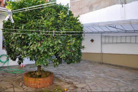 Casa à venda com 244m², 5 quartos e 5 vagas Casa à venda com 244m², 5 quartos e 5 vagasÁrea comum