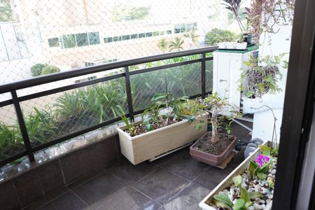 Apartamento à venda com 168m², 3 quartos e 3 vagasSacada