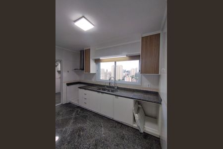 Apartamento para alugar com 220m², 4 quartos e 3 vagasCozinha - Armários
