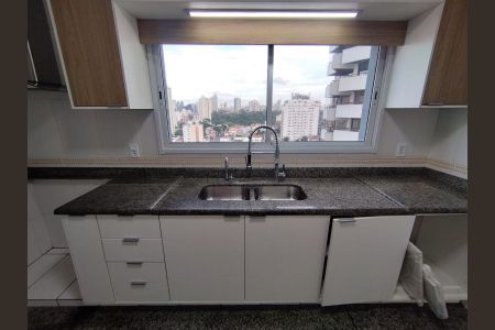 Apartamento para alugar com 220m², 4 quartos e 3 vagasCozinha - Armários