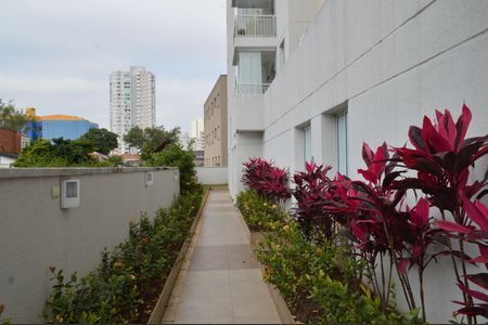 Apartamento à venda com 50m², 2 quartos e 1 vagaÁrea comum