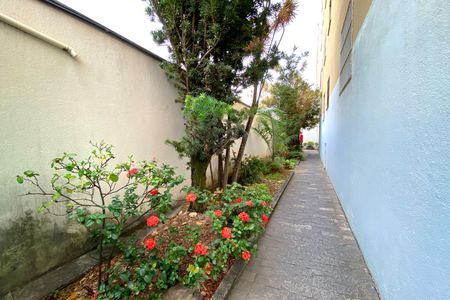 Apartamento à venda com 72m², 3 quartos e 1 vagaÁrea comum - Jardim