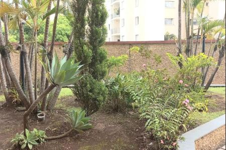 Apartamento à venda com 78m², 3 quartos e 2 vagasFoto 31