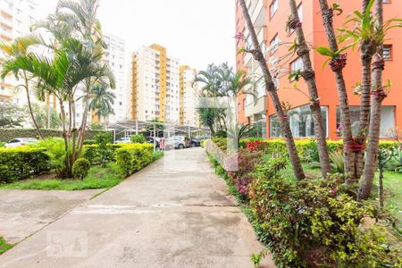 Apartamento à venda com 72m², 3 quartos e 1 vagaÁrea Verde