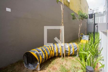 Apartamento para alugar com 31m², 1 quarto e sem vaga Apartamento para alugar com 31m², 1 quarto e sem vagaÁrea comum - Espaço Pet