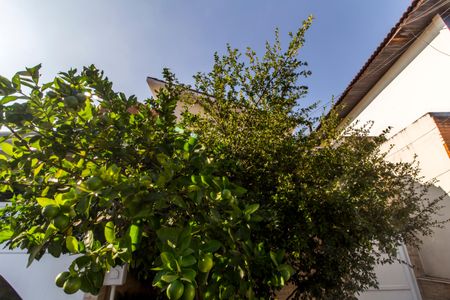 Casa de condomínio à venda com 390m², 4 quartos e 2 vagasÁrea comum