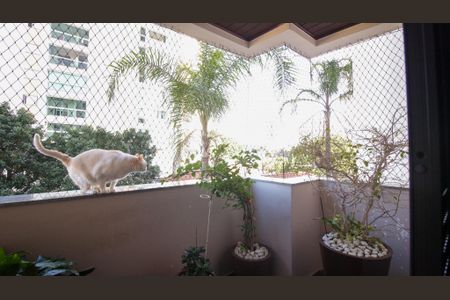 Apartamento à venda com 120m², 3 quartos e 2 vagas Apartamento à venda com 120m², 3 quartos e 2 vagasSuíte 3 (varanda)