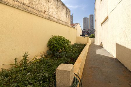 Apartamento para alugar com 74m², 3 quartos e 2 vagas Apartamento para alugar com 74m², 3 quartos e 2 vagasÁrea comum - horta comunitária